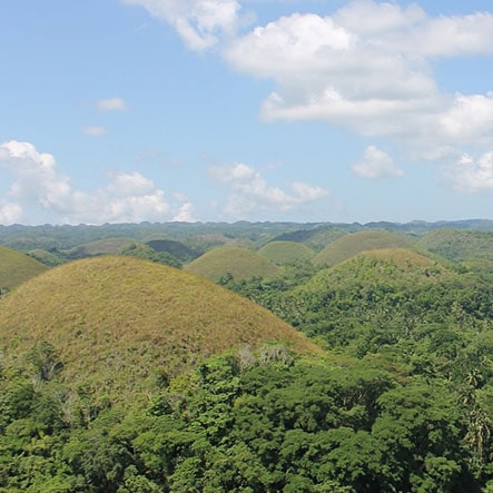 Chocolate Hills bohol