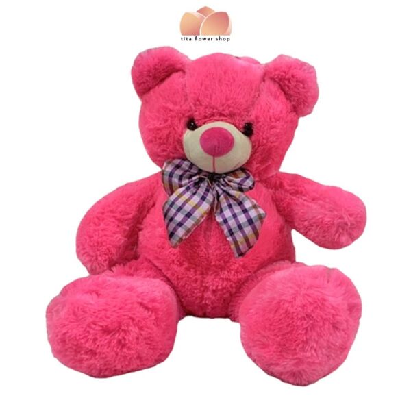Deep pink teddy bear stuff toy